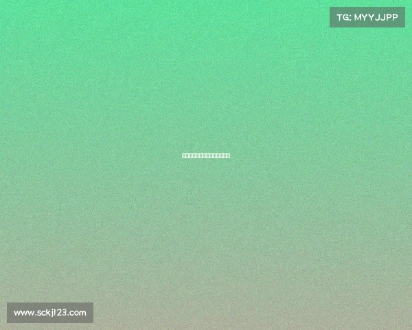 双鸭山市电子商务发展服务中心