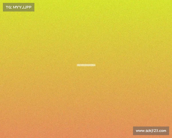 沪上强队蓄势待发，再战巅峰