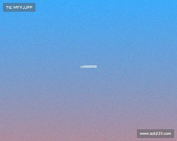 vg电子竞技俱乐部公司