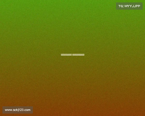 双鸭山电子竞技运动 双鸭山电子商务创业园